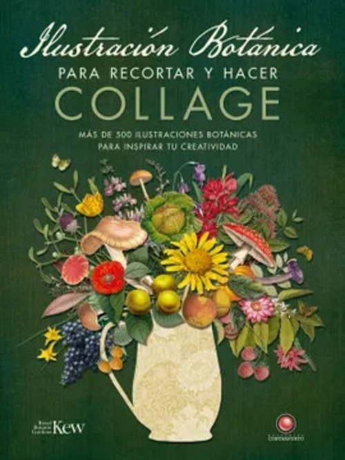 ILUSTRACION BOTANICA PARA RECORTAR Y HACER COLLAGE