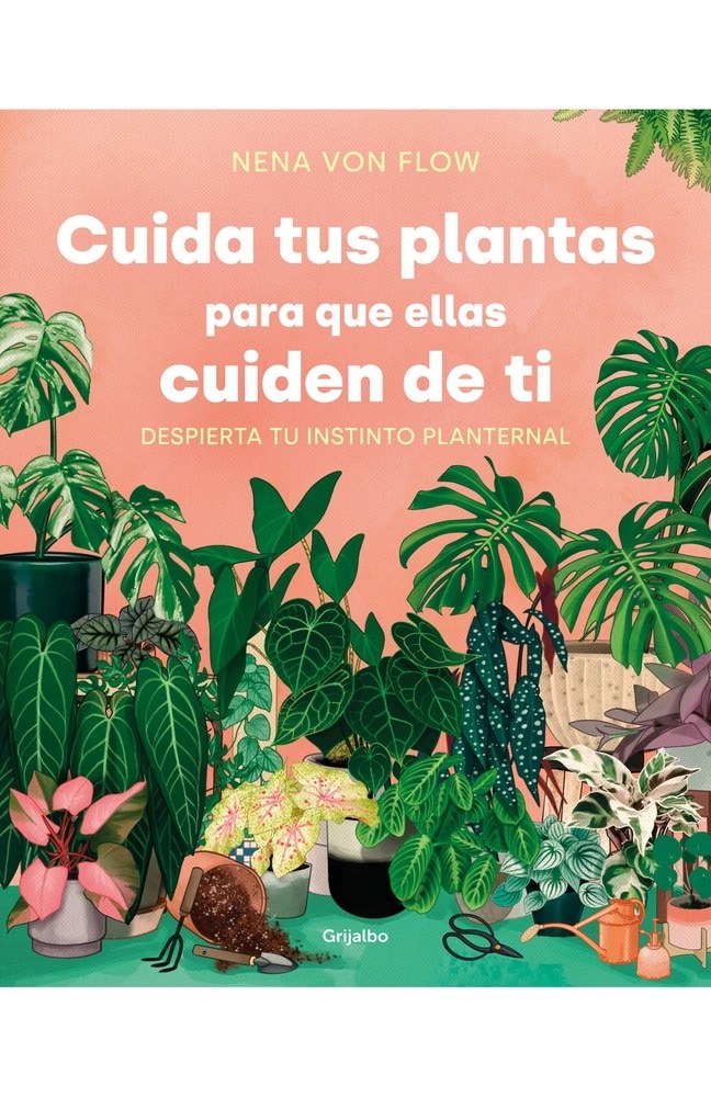 CUIDA TUS PLANTAS PARA QUE ELLAS CUIDEN DE TI