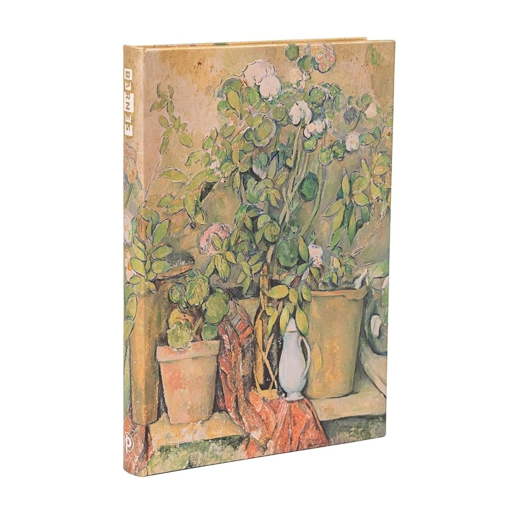 CEZANNE S TERRACOTTA POTS AND FLOWERS. MIDI RENGLONES TAPA DURA