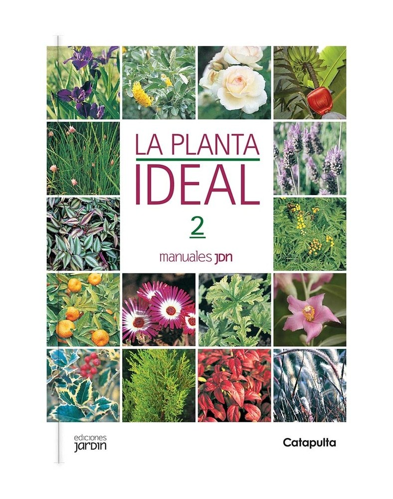 PLANTA IDEAL 2
