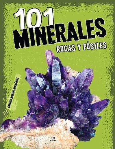 101 MINERALES, ROCAS Y FOSILES