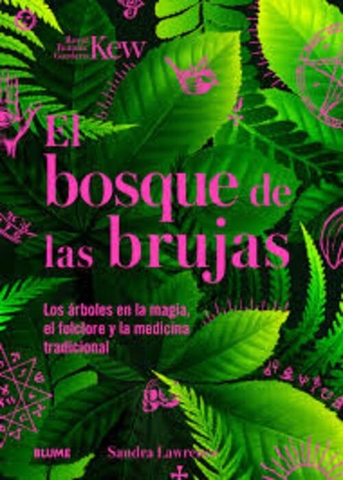 EL BOSQUE DE LAS BRUJAS