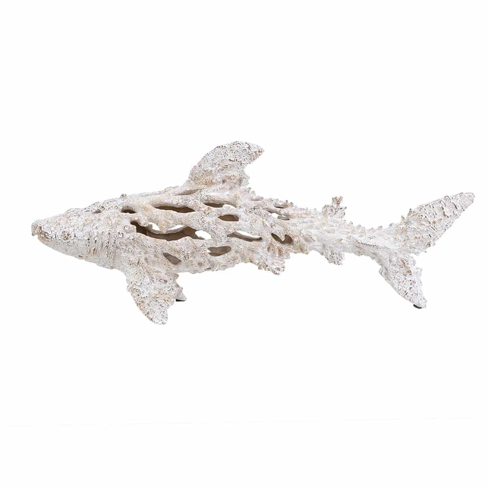 Pez/ Fish