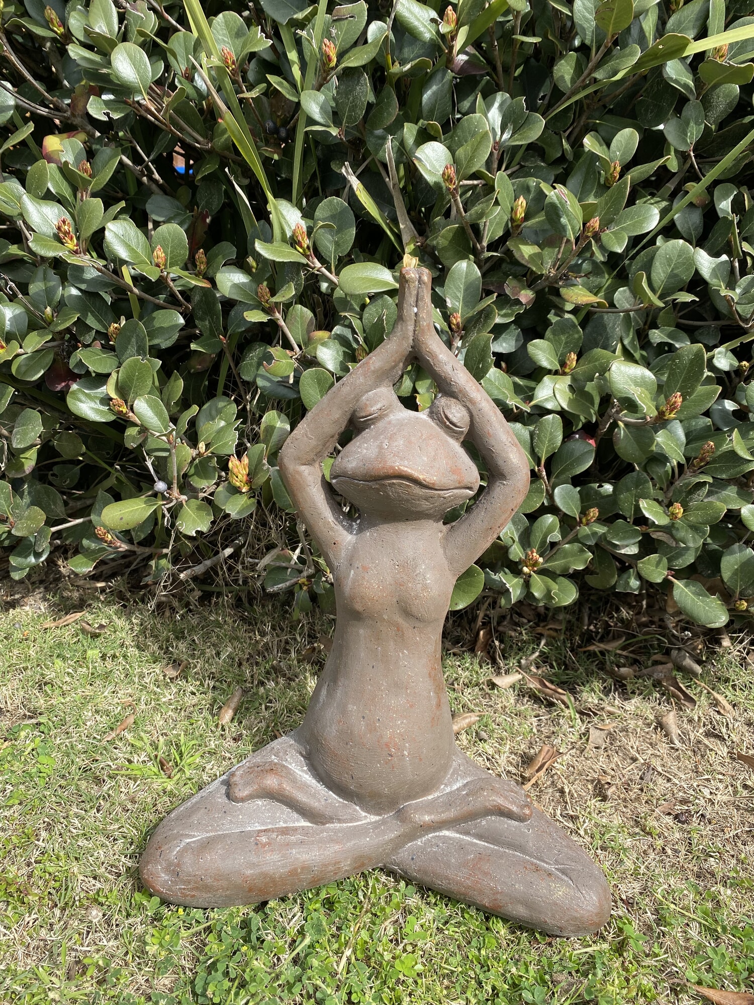 Ranas yoga