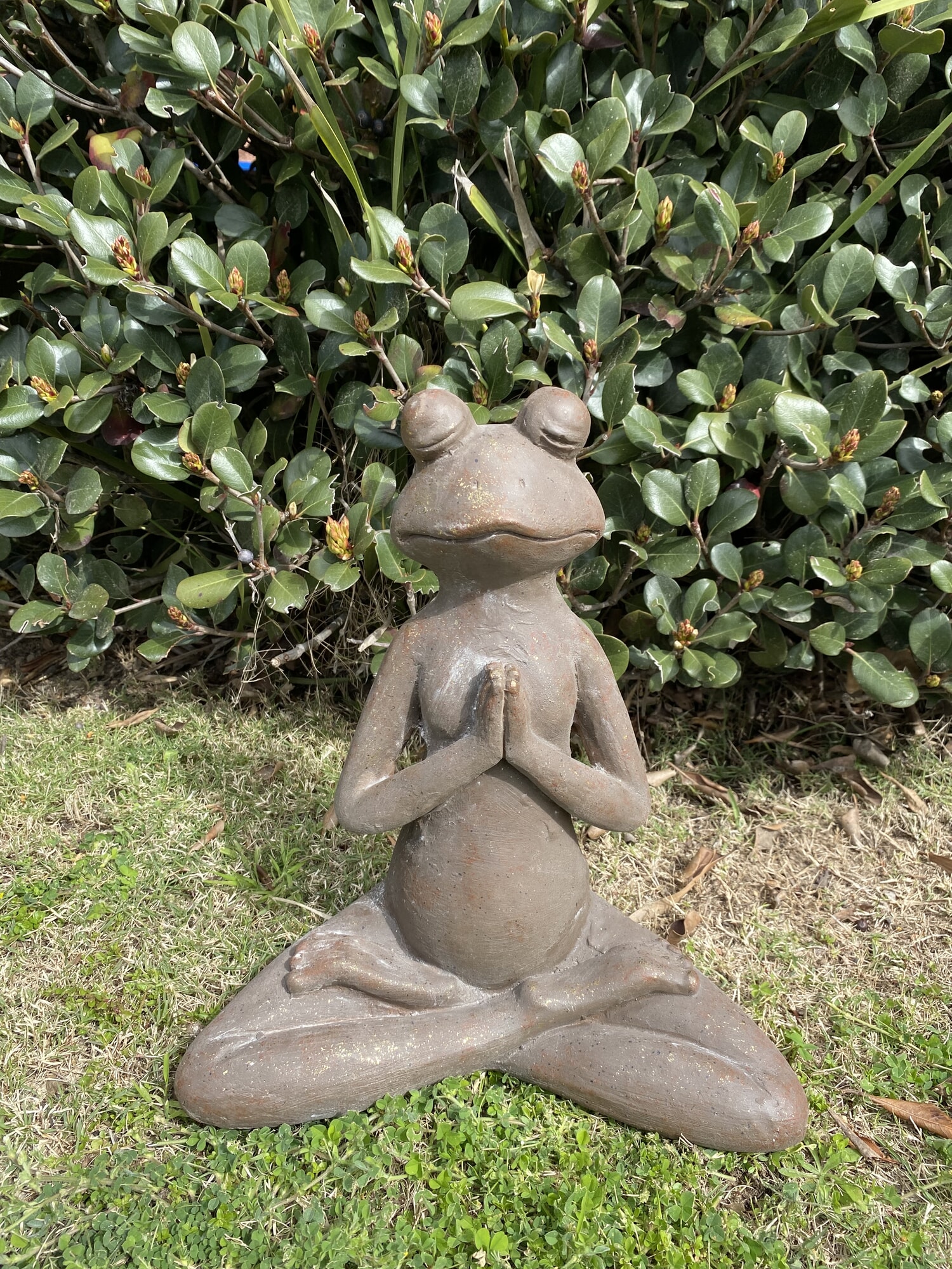 Ranas yoga