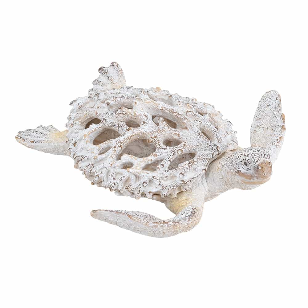 Tortuga