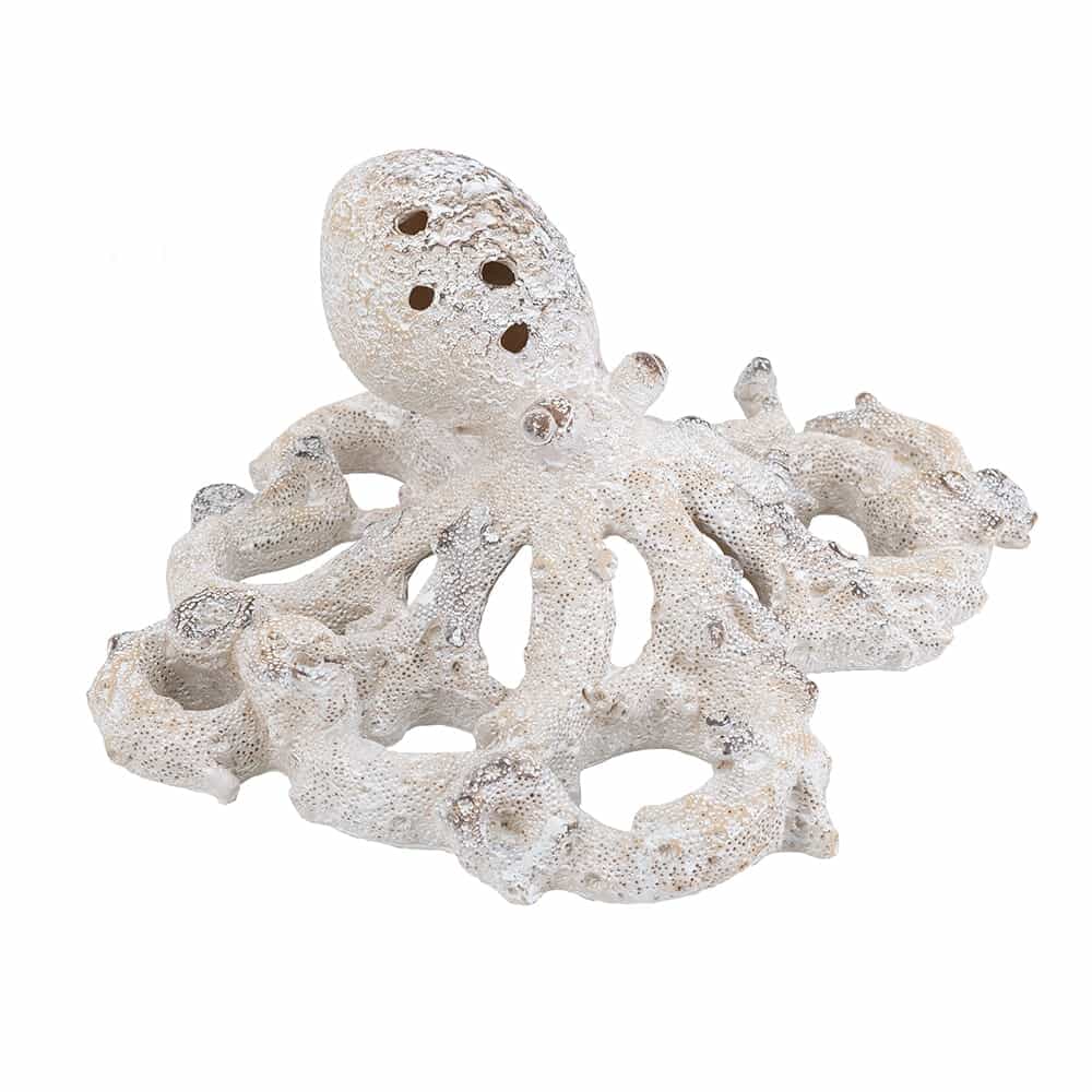 Pulpo