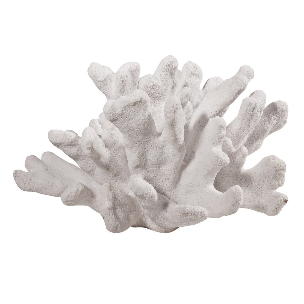 Coral Blanco Mediano