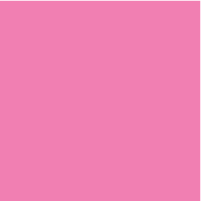Rosa Rosa