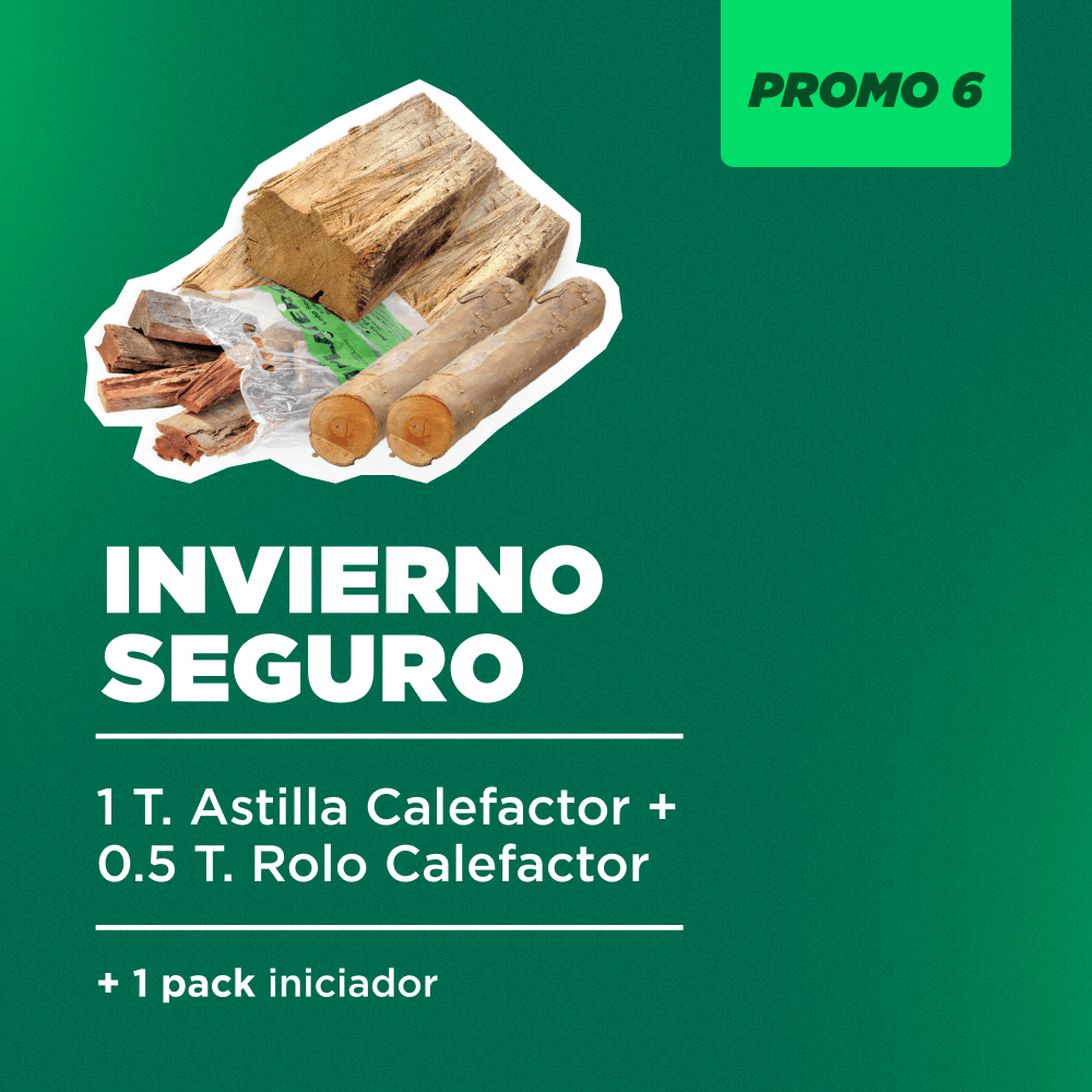  Invierno Seguro