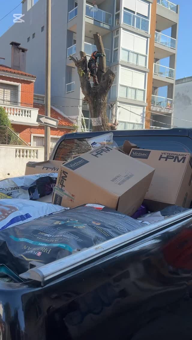 Imagen de posteo de Instagram