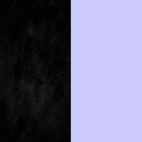 Negro/Violeta Negro/Violeta