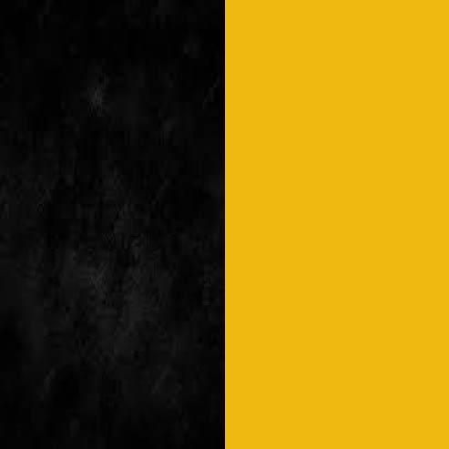 Negro/Dorado Negro/Dorado