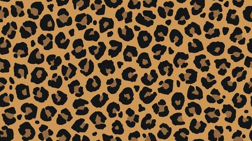 Animal Print Animal Print